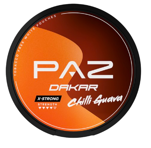 PAZ Racing Dakar