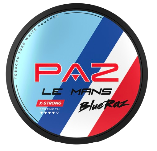PAZ Racing Le Mans